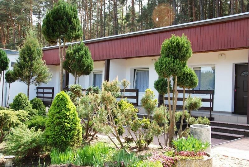 Osrodek Wypoczynkowy Sosenka Apartment Zalom  ภายนอก รูปภาพ
